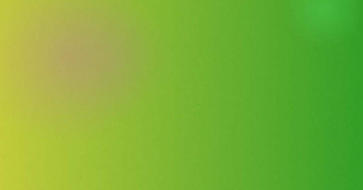 肉体奉公对比：一次购买复盘